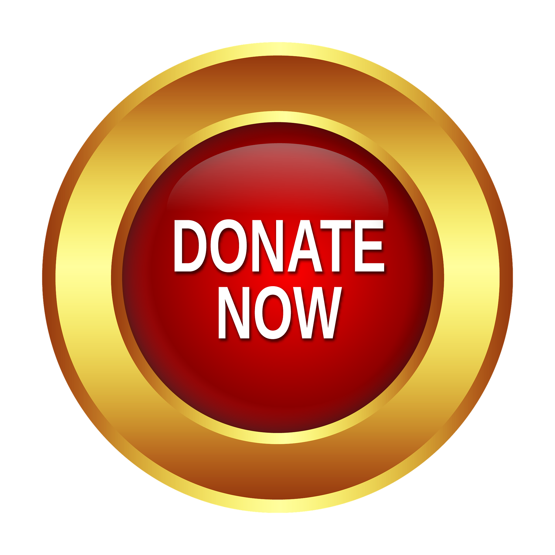 button-donate-now Donate