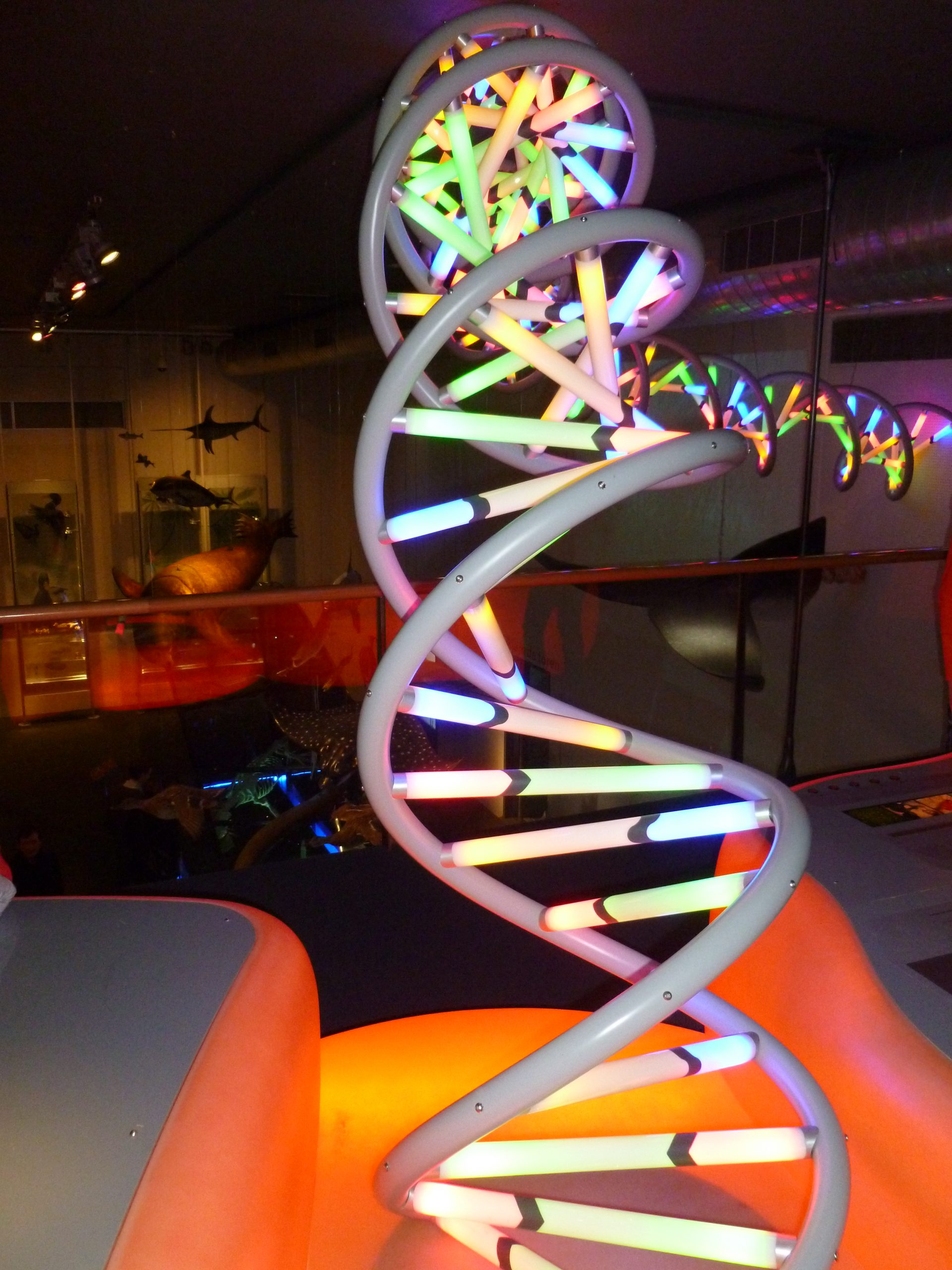 dna DNA