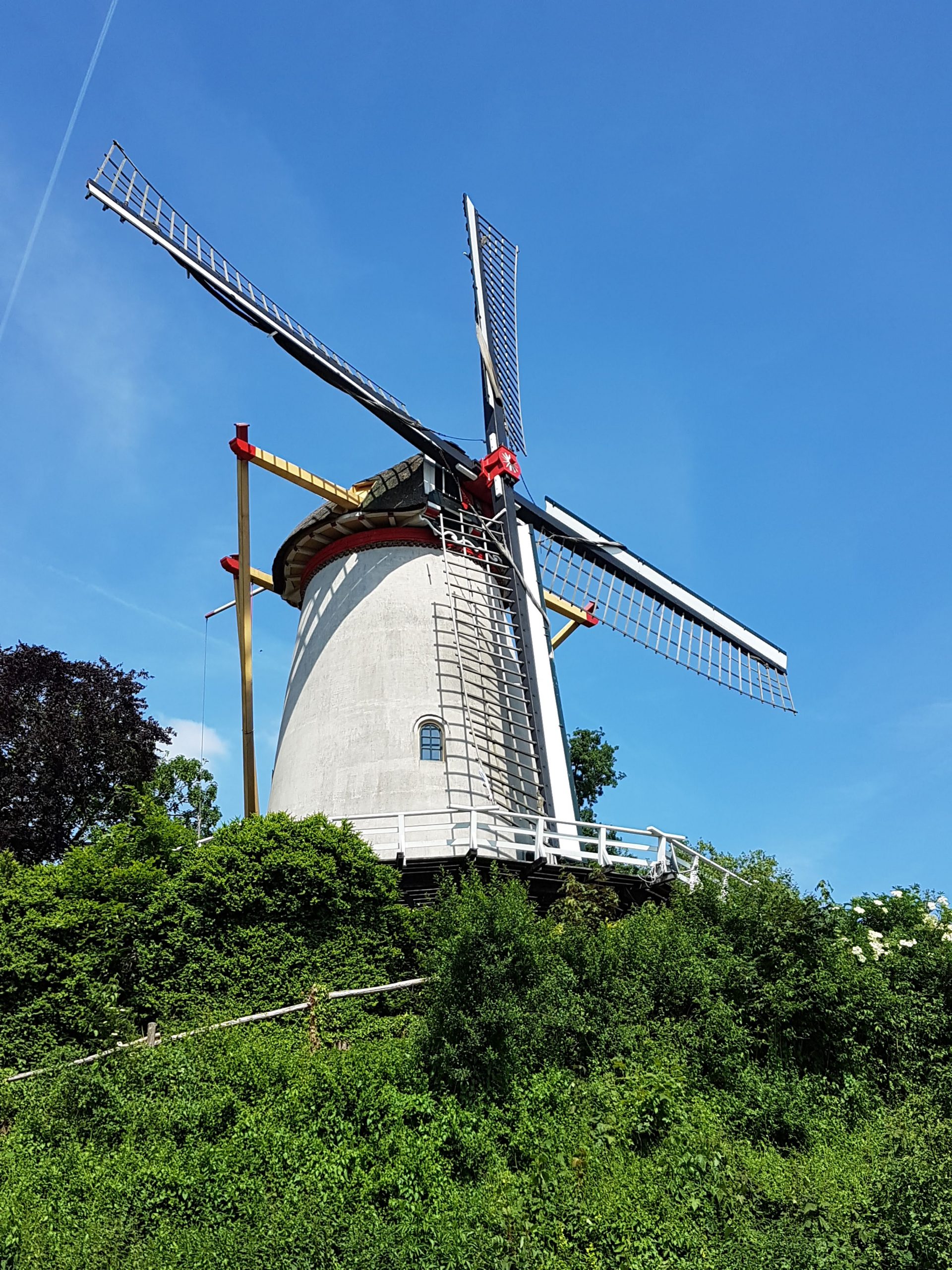 dutch-mill