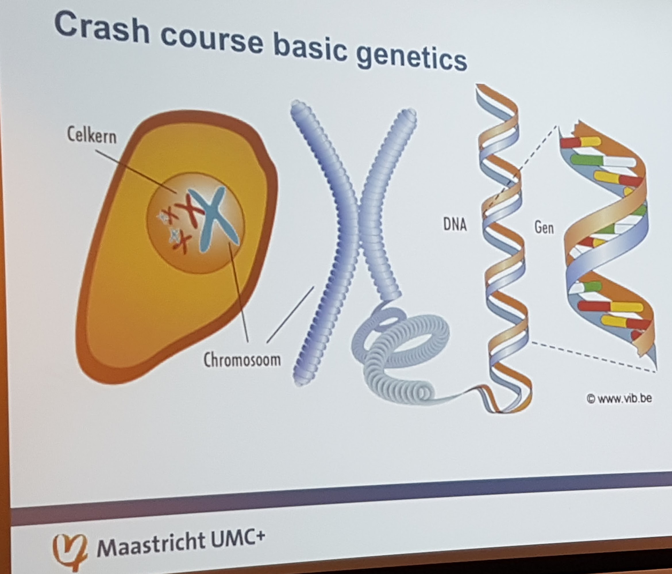 genetics Genetics