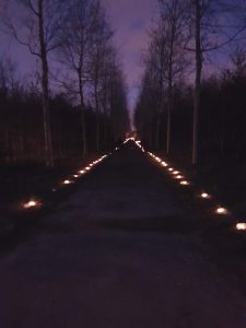 World light day