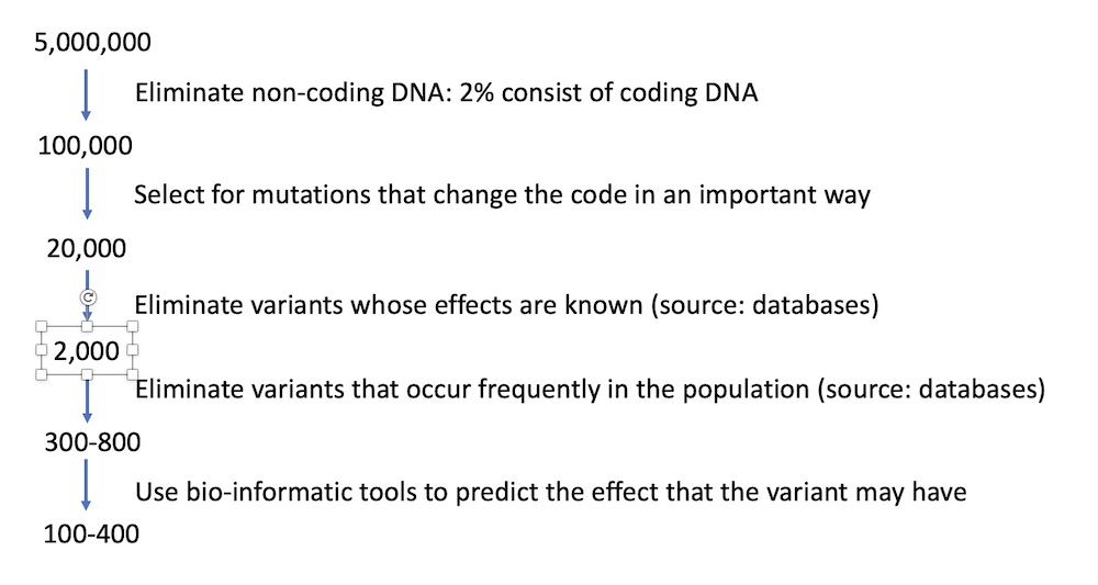 elimination-variants-eng elimination-variants-eng