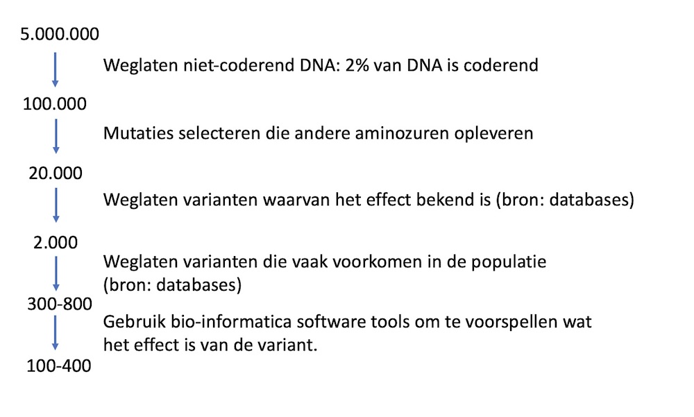eliminatie-varianten-nl eliminatie-varianten-nl