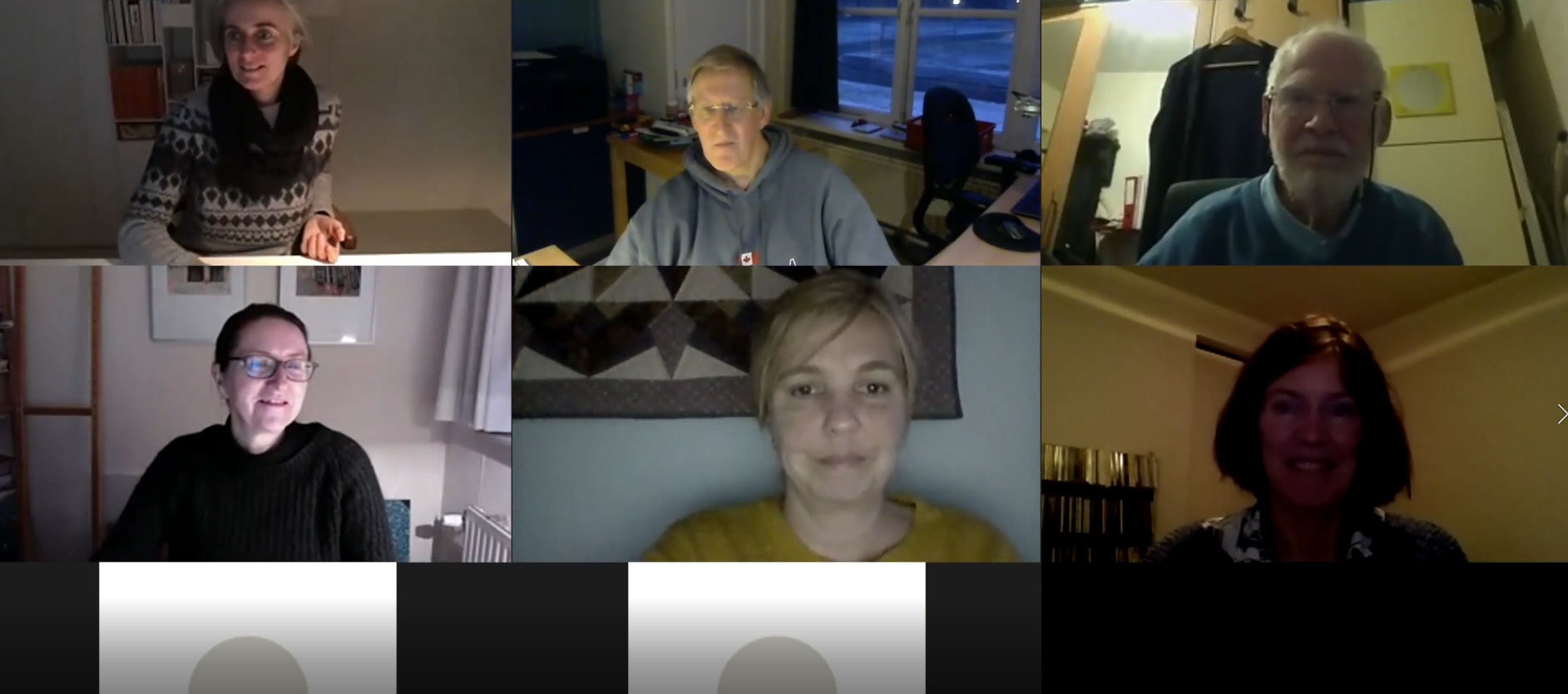 screenshot-webinar-20210116 screenshot-webinar-20210116
