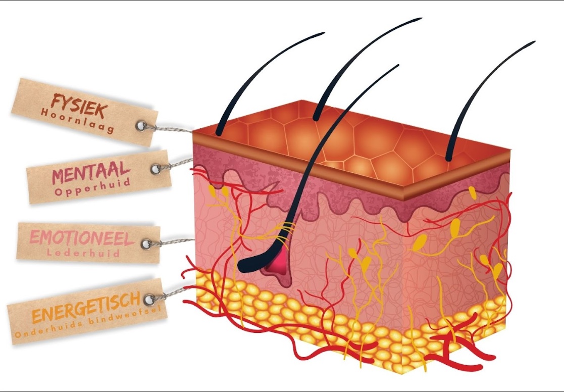willemijn-bos-afbeelding-3-symboliek-van-vier-lagen-van-de-huid-