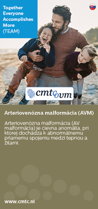 thumbnail-avm-slovak